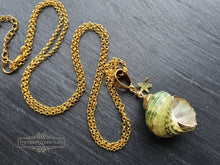Load image into Gallery viewer, Seashell Necklace with Sea-Star Charm - Polished Green-Ridged Turban Shell - Gold Electroplated Detail - Symbolises Renewal and Regeneration