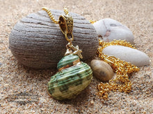Load image into Gallery viewer, Seashell Necklace with Sea-Star Charm - Polished Green-Ridged Turban Shell - Gold Electroplated Detail - Symbolises Renewal and Regeneration