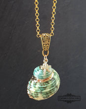 Load image into Gallery viewer, Seashell Necklace with Sea-Star Charm - Polished Green-Ridged Turban Shell - Gold Electroplated Detail - Symbolises Renewal and Regeneration