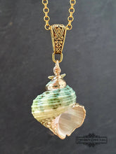 Load image into Gallery viewer, Seashell Necklace with Sea-Star Charm - Polished Green-Ridged Turban Shell - Gold Electroplated Detail - Symbolises Renewal and Regeneration