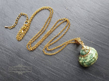 Load image into Gallery viewer, Seashell Necklace with Sea-Star Charm - Polished Green-Ridged Turban Shell - Gold Electroplated Detail - Symbolises Renewal and Regeneration
