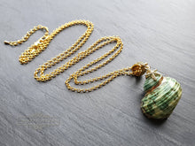 Load image into Gallery viewer, Seashell Necklace with Sea-Star Charm - Polished Green-Ridged Turban Shell - Gold Electroplated Detail - Symbolises Renewal and Regeneration