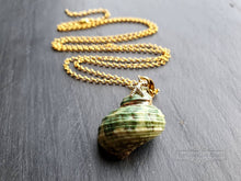 Load image into Gallery viewer, Seashell Necklace with Sea-Star Charm - Polished Green-Ridged Turban Shell - Gold Electroplated Detail - Symbolises Renewal and Regeneration