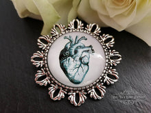 Load image into Gallery viewer, Anatomical Heart Pin Brooch - Vintage Illustration - Glass Photo Cabochon - Antiqued Silvertone Base - 4cm x 4cm (1.57 Inch Diameter)