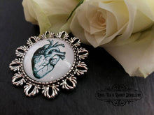 Load image into Gallery viewer, Anatomical Heart Pin Brooch - Vintage Illustration - Glass Photo Cabochon - Antiqued Silvertone Base - 4cm x 4cm (1.57 Inch Diameter)