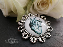 Load image into Gallery viewer, Anatomical Heart Pin Brooch - Vintage Illustration - Glass Photo Cabochon - Antiqued Silvertone Base - 4cm x 4cm (1.57 Inch Diameter)