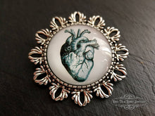Load image into Gallery viewer, Anatomical Heart Pin Brooch - Vintage Illustration - Glass Photo Cabochon - Antiqued Silvertone Base - 4cm x 4cm (1.57 Inch Diameter)