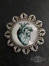 Load image into Gallery viewer, Anatomical Heart Pin Brooch - Vintage Illustration - Glass Photo Cabochon - Antiqued Silvertone Base - 4cm x 4cm (1.57 Inch Diameter)