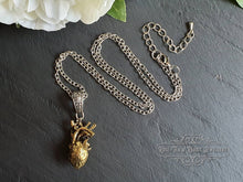 Load image into Gallery viewer, Anatomical Heart, 3 Dimensional Design, Antiqued Raw Brass Heart with Silvertone Chain