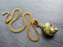 Load image into Gallery viewer, Seashell Necklace with Sea-Star Charm - Polished Green-Ridged Turban Shell - Gold Electroplated Detail - Symbolises Renewal and Regeneration
