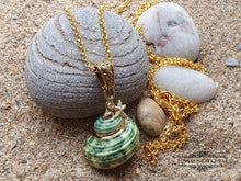 Load image into Gallery viewer, Seashell Necklace with Sea-Star Charm - Polished Green-Ridged Turban Shell - Gold Electroplated Detail - Symbolises Renewal and Regeneration
