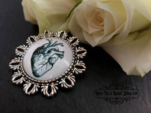 Load image into Gallery viewer, Anatomical Heart Pin Brooch - Vintage Illustration - Glass Photo Cabochon - Antiqued Silvertone Base - 4cm x 4cm (1.57 Inch Diameter)
