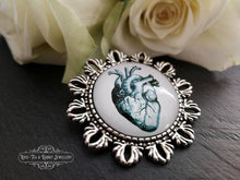 Load image into Gallery viewer, Anatomical Heart Pin Brooch - Vintage Illustration - Glass Photo Cabochon - Antiqued Silvertone Base - 4cm x 4cm (1.57 Inch Diameter)
